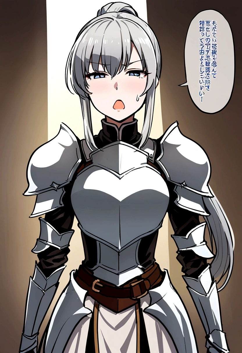 Beautiful girl knight in armor, Gray Hair, tsurime, fantastic, Face your body forward like a certificate photo, shoot from front, Ponytail, Armor Girl, beautiful female knight, Female Paladin, pale blue eyes, narrowed eyes squint, Talking mouth