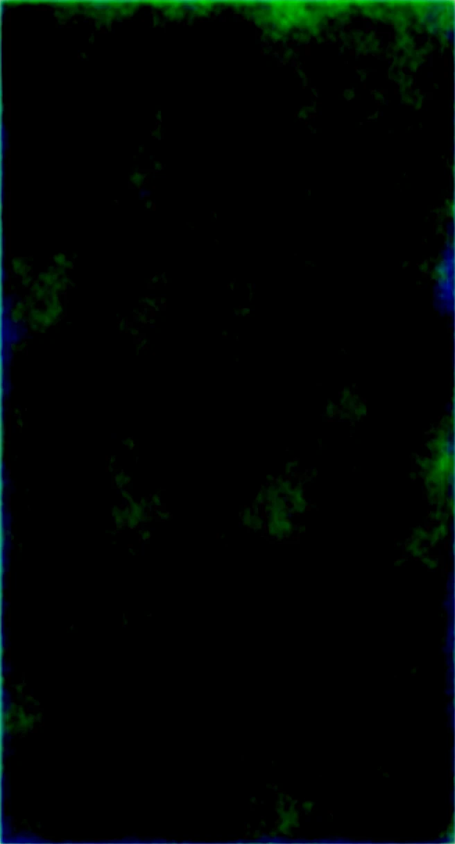 Dark Room,Always Details,finely,High resolution, HDR,Deep Shadows,High Contrast,(8K、Raw photo、Highest quality、masterpiece:1.2)、(Realistic,Photorealistic:1.8) Black clothes,Denim shorts,whole body,Amazing beautiful eyes,Natural Lip,(Saggy breasts:1.3)( Squint eyes :1.2)1 girl、Seeing the viewer、Beautifully detailed face,Laughter,narrow,Comfortable clothes,Floating Hair,dark brown hair, short hair, brown eyes, front, detailed face,Japanese girl sitting in the middle of the room,Wide angle of view, messy room, looking at camera, black camisole,Arm hair、Brown Hair,Seeing the viewer,Beautifully detailed face, cinematic light,(film gain:1.4)|(VHS Video:1.2)(old analog film photography:1.4) Vintage film (1.8), Analog camera (1.5), Film grain (1.4), Light leak (1.2), Soft focus (1.3), Warm tones (0.2), Retro aesthetic (1.7), Lomography (1.3), Nostalgic atmosphere (1.8), Polaroid-style (1.5), Faded colors (1.9), Dreamy look (1.3), Overexposed (1.1), Vignette effect (1.8), Blurred edges (1.4),