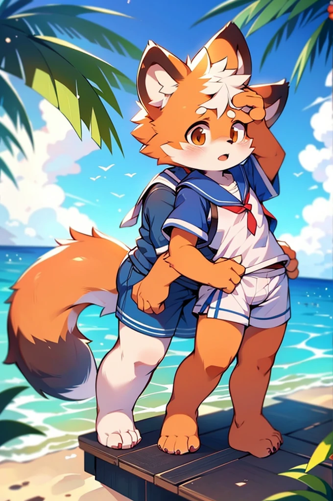 Red Panda Boy,Ocean,Sailor suit standing on feet,Two legs,