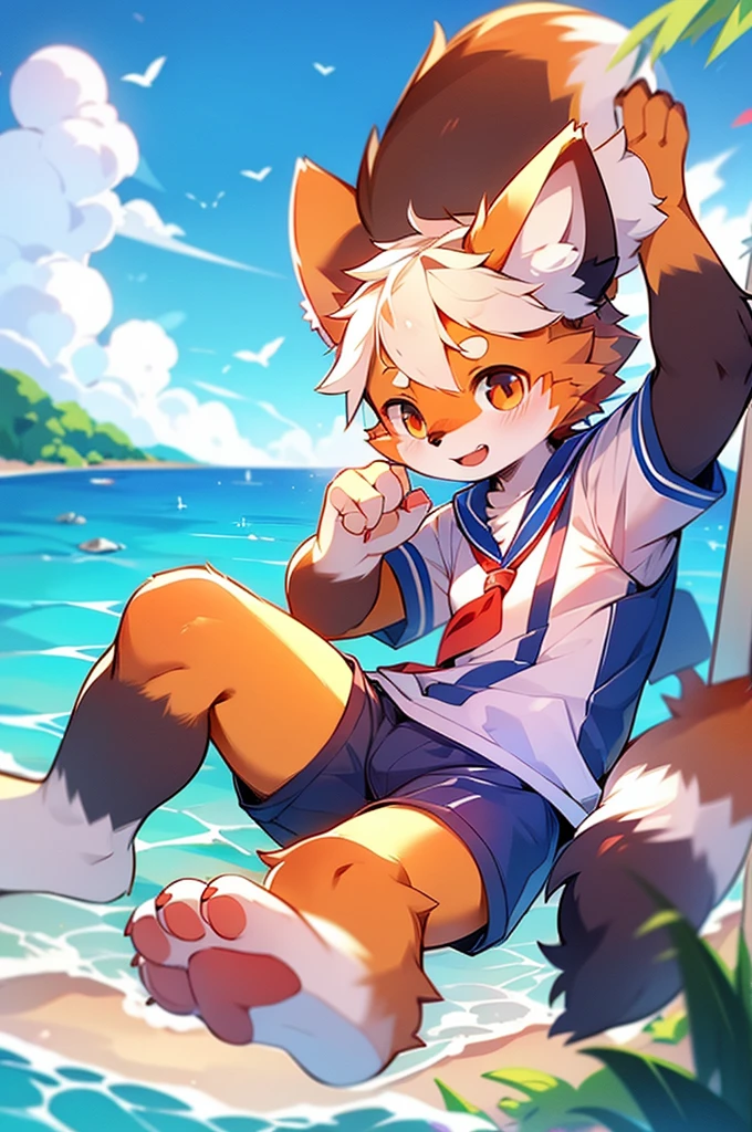 Red Panda Boy,Ocean,Sailor suit,