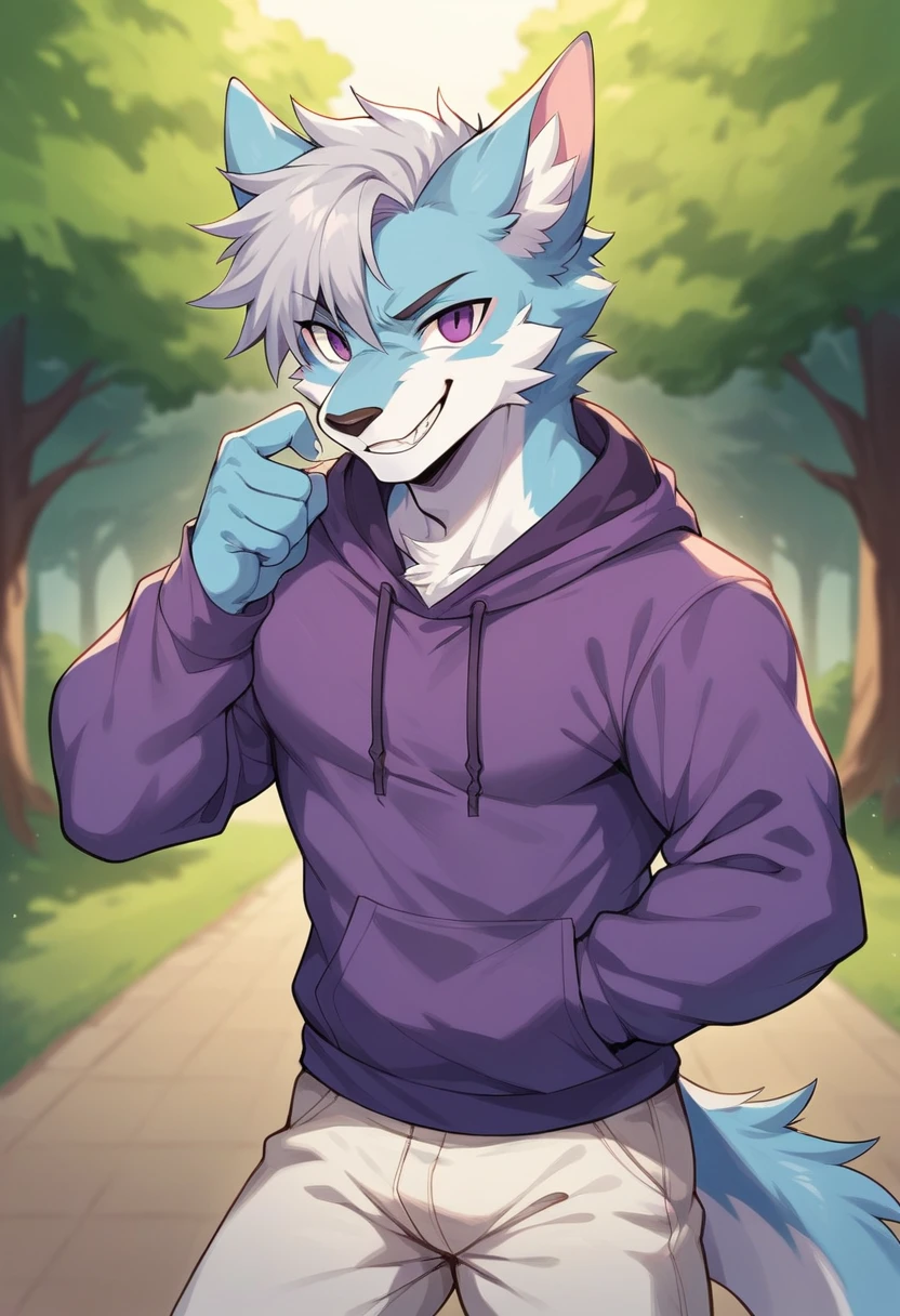 (masterpiece:1.2),cool pose,furry black dragon,strong and fit body,purple eyes,grey medium hair,grey facial hair,casual clothing,hoodie, fierce expression,good looking,slightly smiling showing teeth,park background