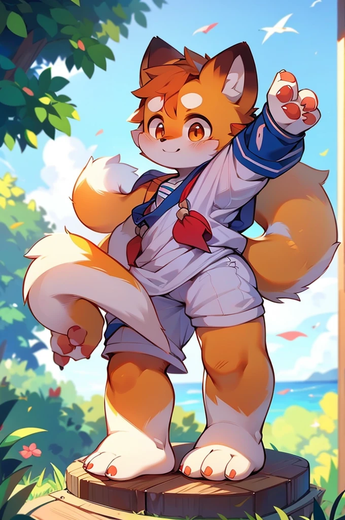 Red Panda Boy,Sailor suit standing on feet,Two legs,