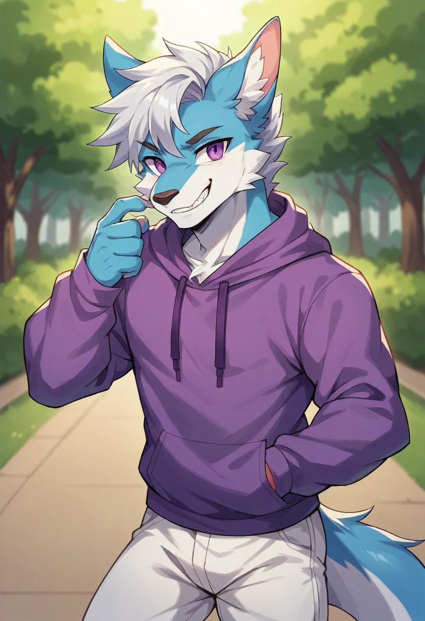 (masterpiece:1.2),cool pose,furry black dragon,strong and fit body,purple eyes,grey medium hair,grey facial hair,casual clothing,hoodie, fierce expression,good looking,slightly smiling showing teeth,park background