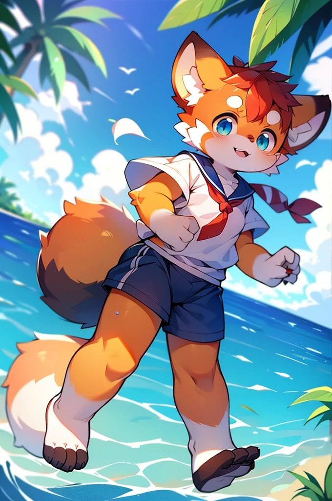 Male Red Panda,Ocean,Appearance in a sailor suit!One person