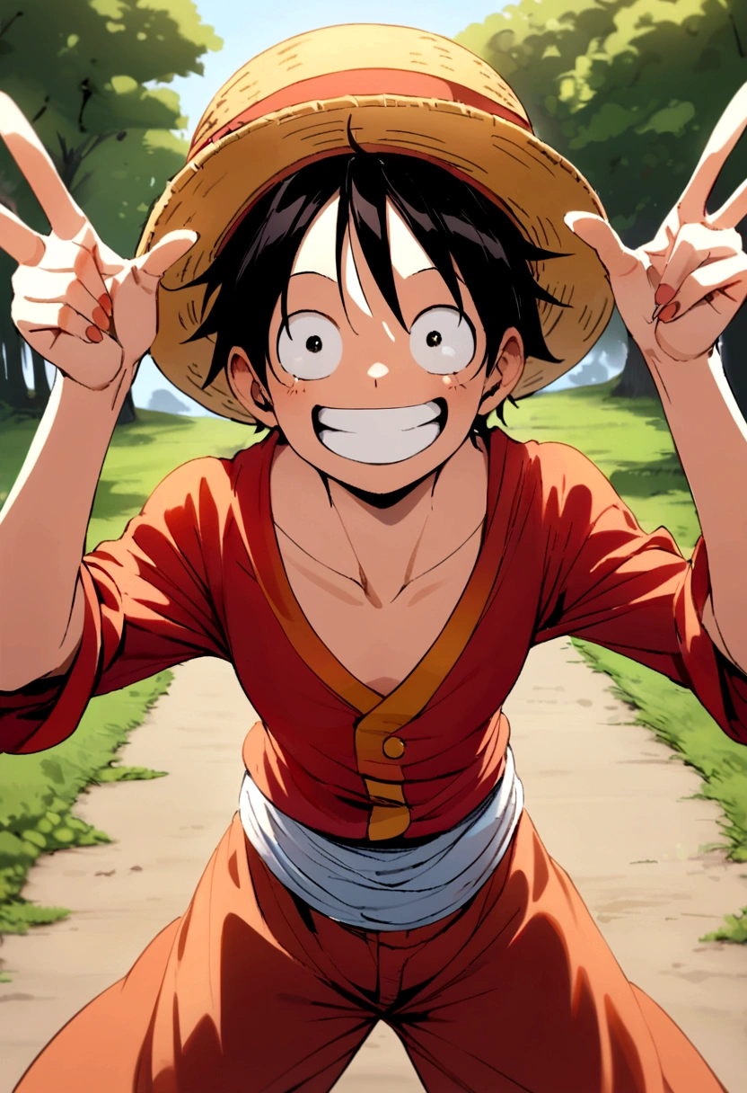Monkey D Luffy, woman, Double Peace Sign, smile, Emotional