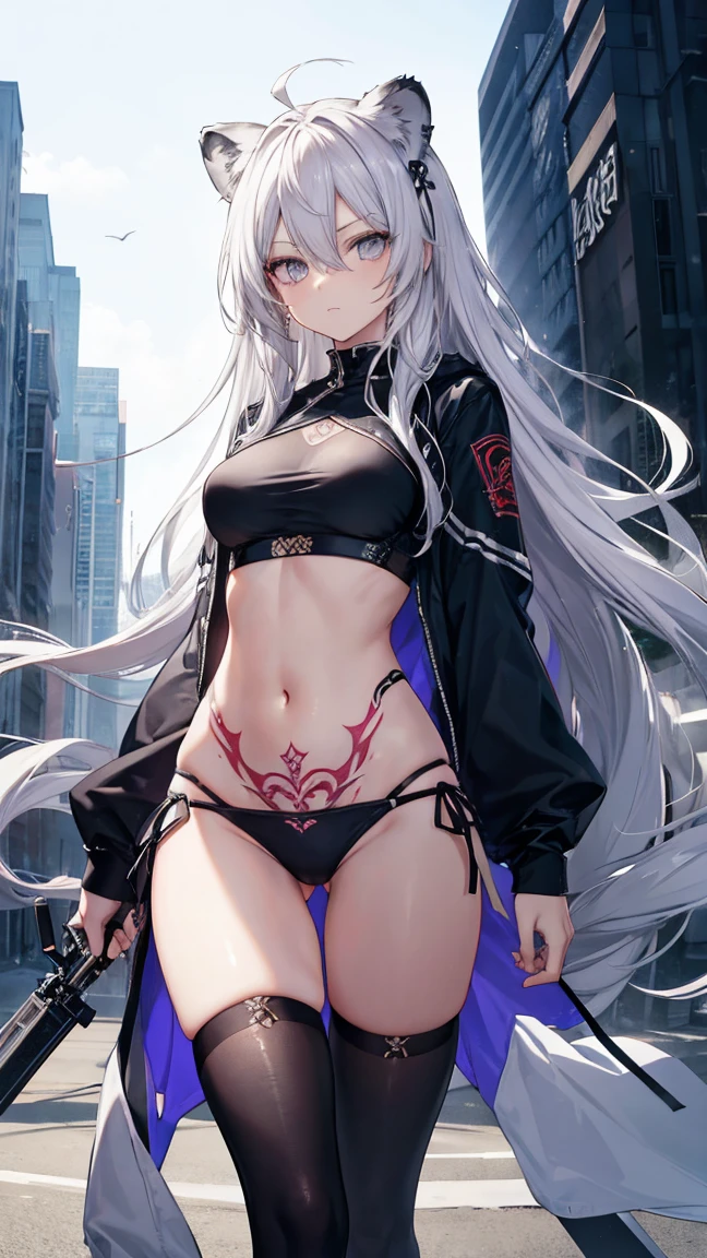 High resolution、Girl、Silver Hair、Long Hair,(),Lion ears、Grey Eyes、Slender、Toned body、Assassin,Tattoo,