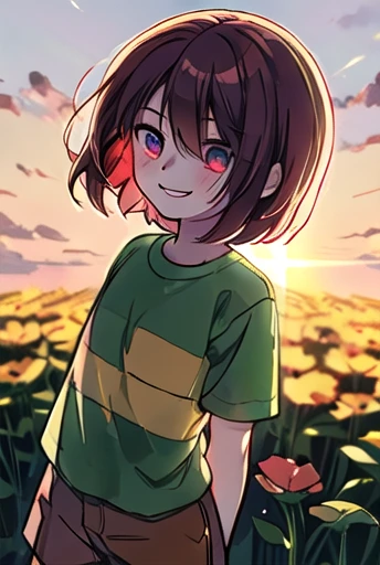 masterpiece, Highest quality, detailed, One girl, Striped shirt, T-Shirts, Brown shorts, Lens flare, bloom, outside, Are standing, Character, Character \(Undertale\), Wicked Smile, young, , ((One Stripe)), Put your arms behind your back,  