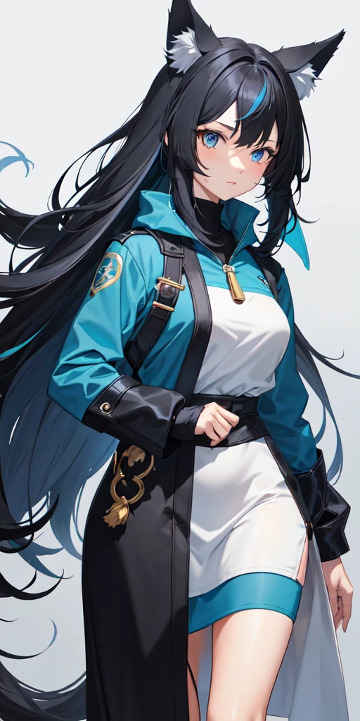 create a character with long hair and her hair color is brown with some blue highlights, her right eye is dark blue and her left is black, with ears and a wolf tail.