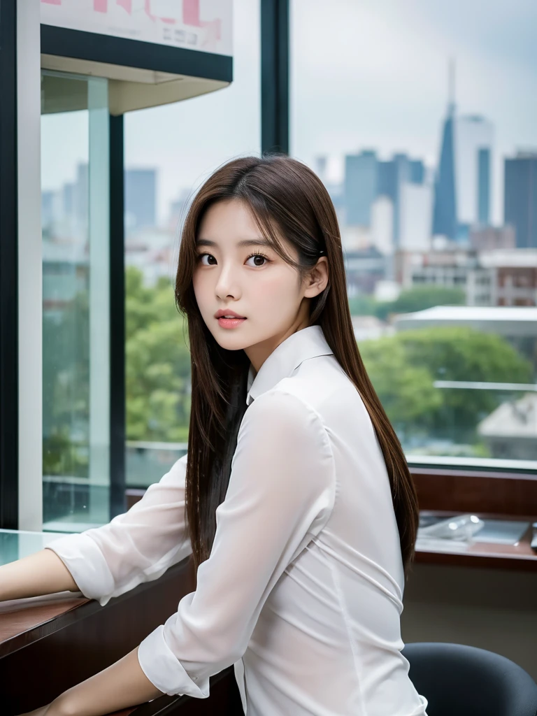 Han Julie is a young Korean woman in her 28s. Her hair is long in a dark color.
Her face is oval and marked by her large brown eyes, which carry a cold, unexpressive face. Her skin is radiant and clear, presenting an impeccable state of health and her curved lips.
Her height is medium, her body athletic and defined, with the most charming and provocative. It contrasts and matches their personalities.
She stands in her office with her back to the glassware marked by the view of the city on her back, wearing a white shirt with loose tie while undoing