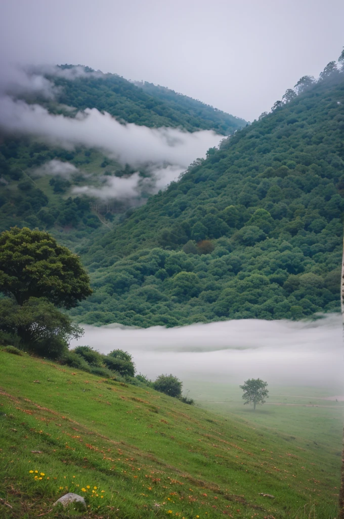 Nature picture with fog
