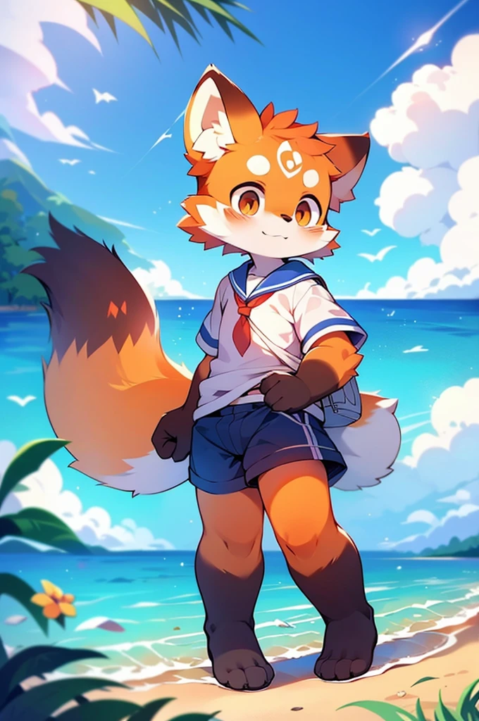 Male Red Panda,Ocean,Appearing in a sailor uniform!One person