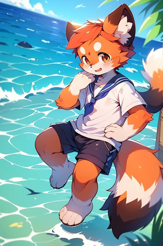 Male Red Panda，Ocean，Appearing in a sailor uniform！One person