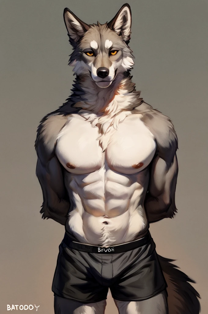 Solo, Furry, Anthro, Gray Wolf, Male, E621, Standing, Wearing Bikini, Wearing Boxer Shorts, Muscular Body, Front view, Hands behind back, Simple image background, by bebebebebe, by foxovh, by chelodoy, by butterchalk