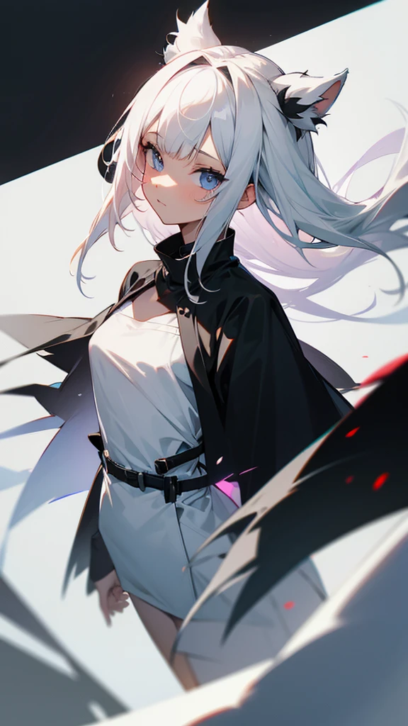 Half black and half white-haired girl