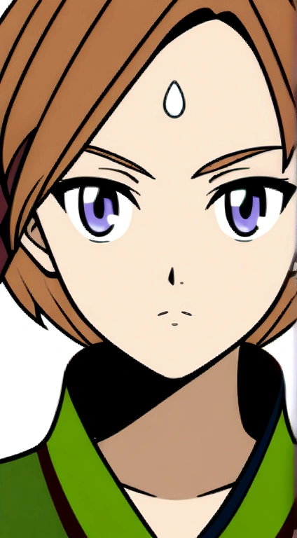 Woman, eye white, chestnut hair, ninja outfit, flag of the village of leaf, anime design style, Clear face