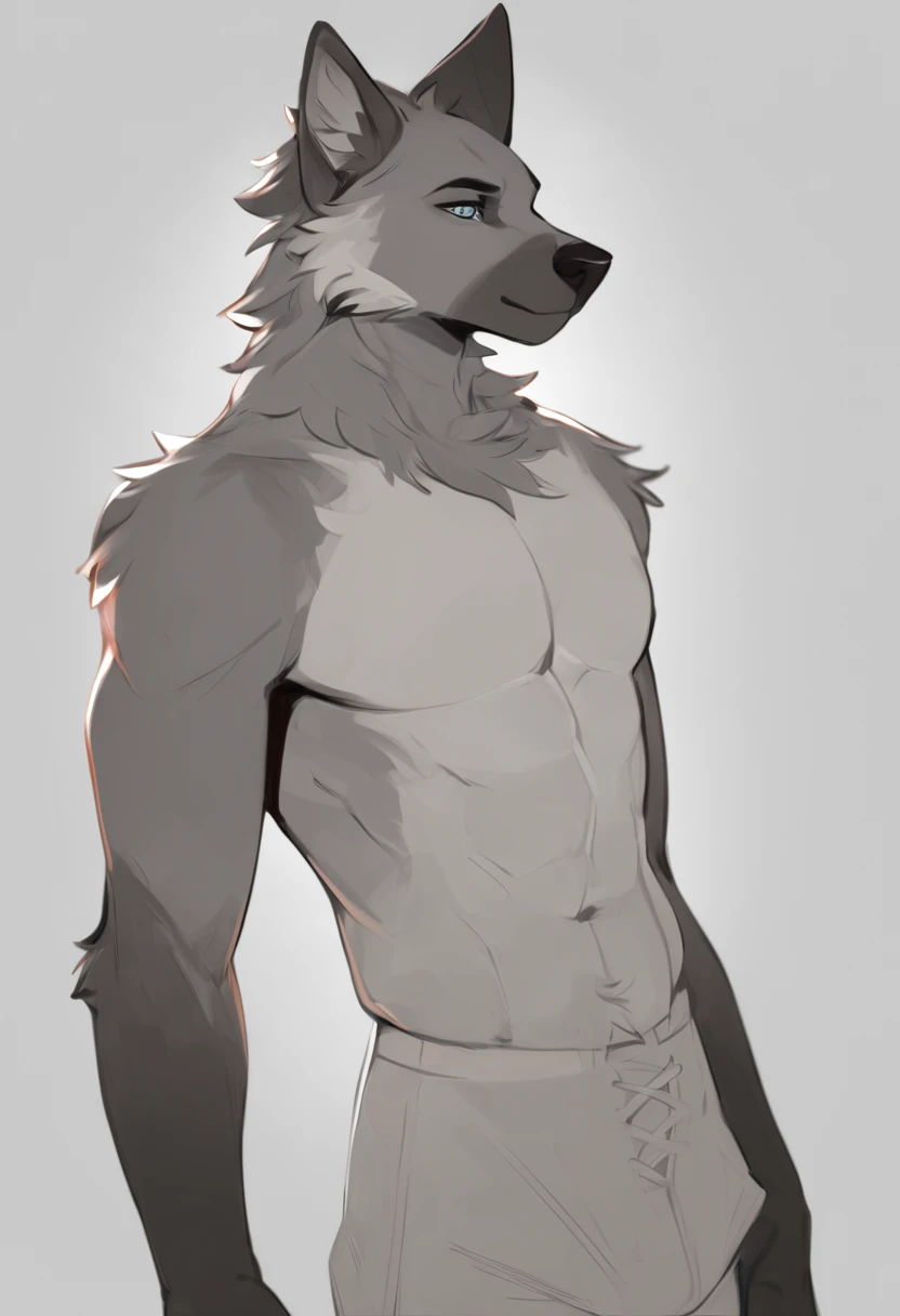 Solo, male, furry art, grey wolf, fursona, (((grey primary fur))), white secondary, (perky ears), reference sheet, amazing simple art, masterfully executed, beautiful background, normal body, paws hands, cool pose.