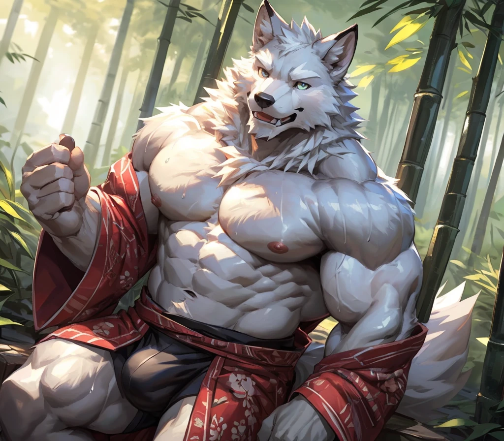 ((best quality)), ((masterpiece)), (ultra detailed), perfect face,(sharp eyes),sharp focus, (by null-ghost,by traver009,by lindong,by pino daeni),(male antro arctic fox):1.7,((white fur)), ((white belly)), (fox ears), sharp eye,ultra-detailed eyes, Beautiful and delicate eyes, ((green):0.1 eyes), ((fluffy fur, fluffy, furry body)), muscular male , smile, (bulge), reflection, sexy body, middle-age, strong, (((sfw:1.5))),(white fox tail, long fluffy tail), (abs, strong muscle, 6 pack), claw, pink nipples, handsome, majestic,Delicate canine teeth, hairy, male, in the bamboo forest, anime,shirtless, (wearing kimono(open)) , (full body) sweating:1.7