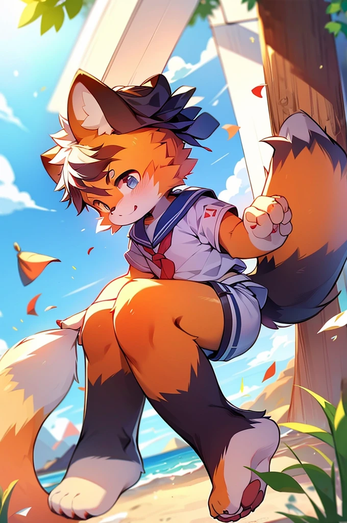 Male Red Panda,Appeared in a sailor uniform!One person