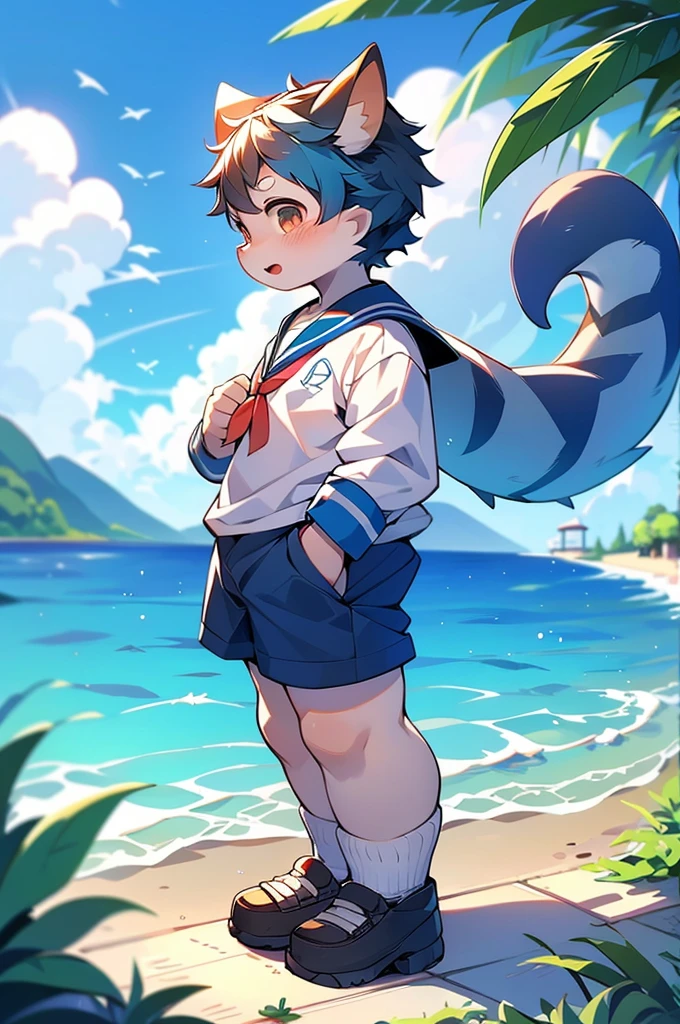 ゴリラの男の子,Ocean,Appearing in a sailor uniform!One person