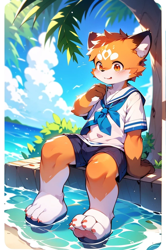Male Red Panda，Ocean，Appearing in a sailor uniform！One person estrus period，sit，