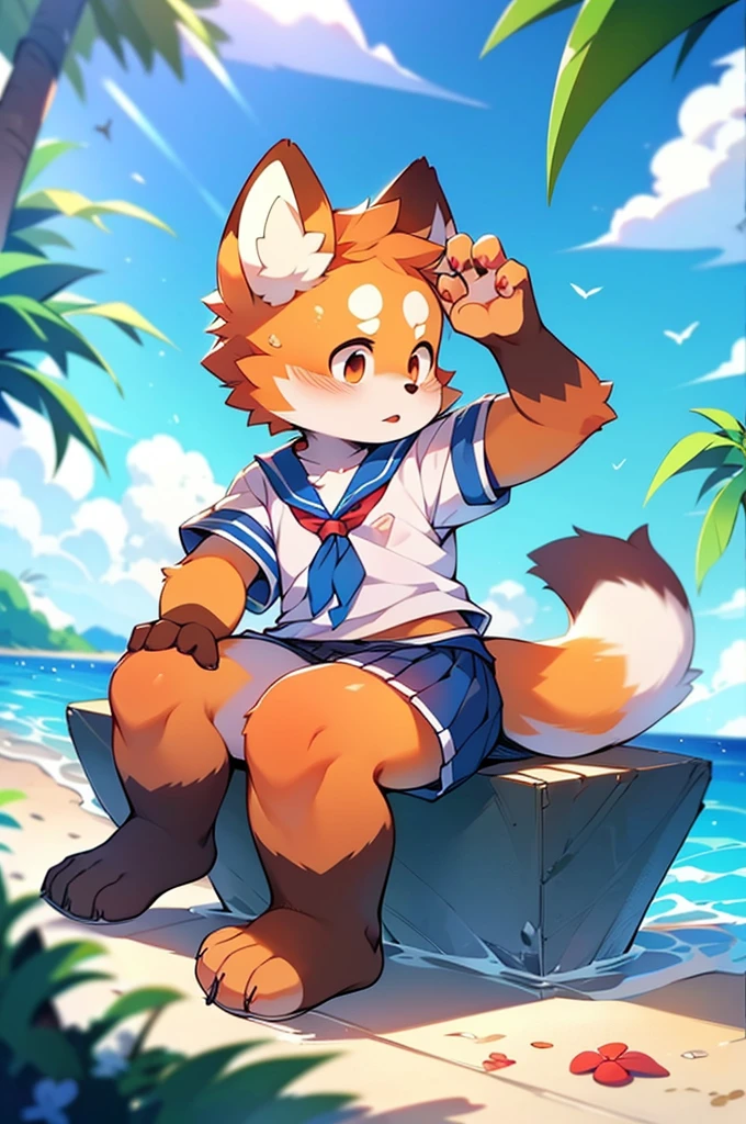 Male Red Panda，Ocean，Appearing in a sailor uniform！One person estrus period，sit，