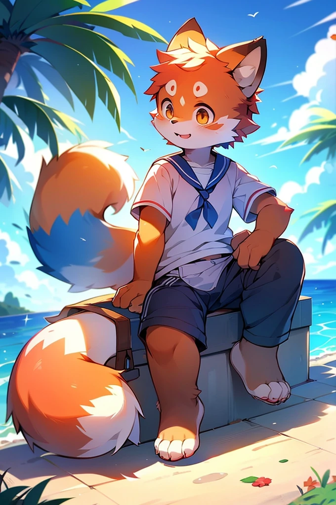 Male Red Panda,Ocean,Appearing in a sailor uniform!One person estrus period,sit,