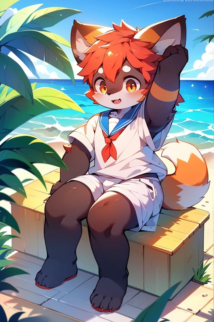 Male Red Panda，Ocean，Appearing in a sailor uniform！One person estrus period，sit，