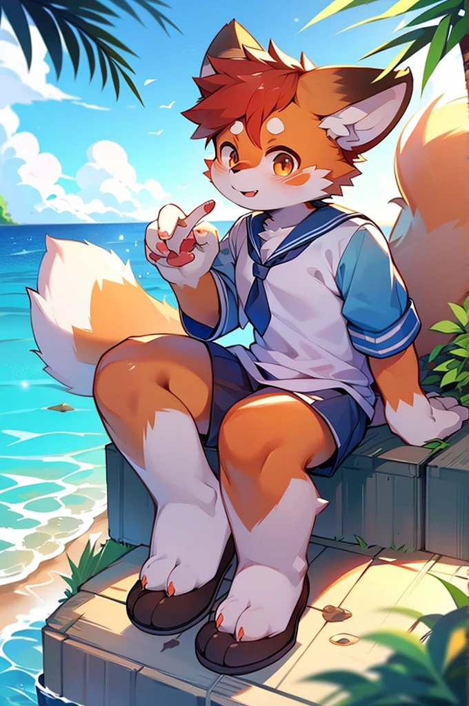 Male Red Panda,Ocean,Appearance in a sailor suit,One person,