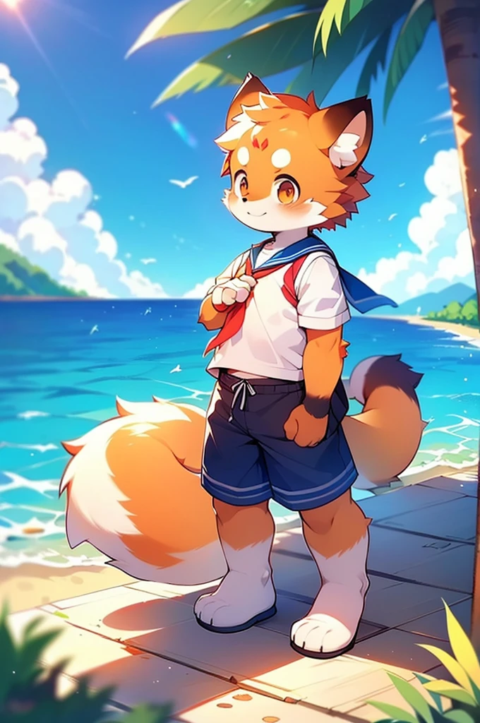 Male Red Panda,Ocean,Appeared in a sailor uniform!One person