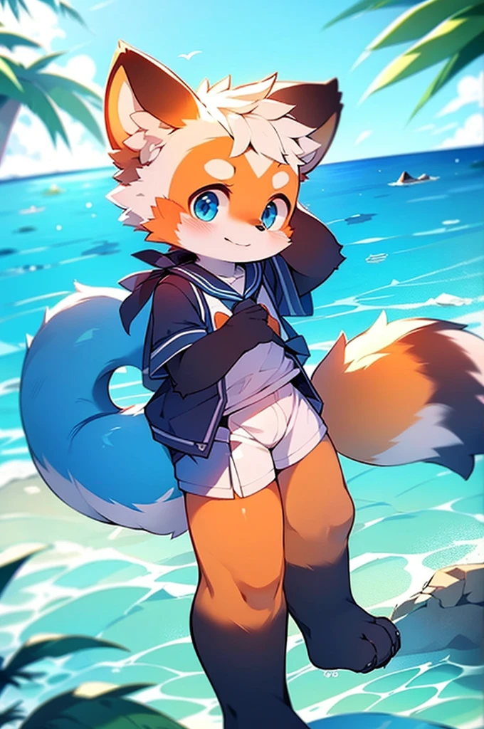Male Red Panda,Ocean,Appeared in a sailor uniform!One person