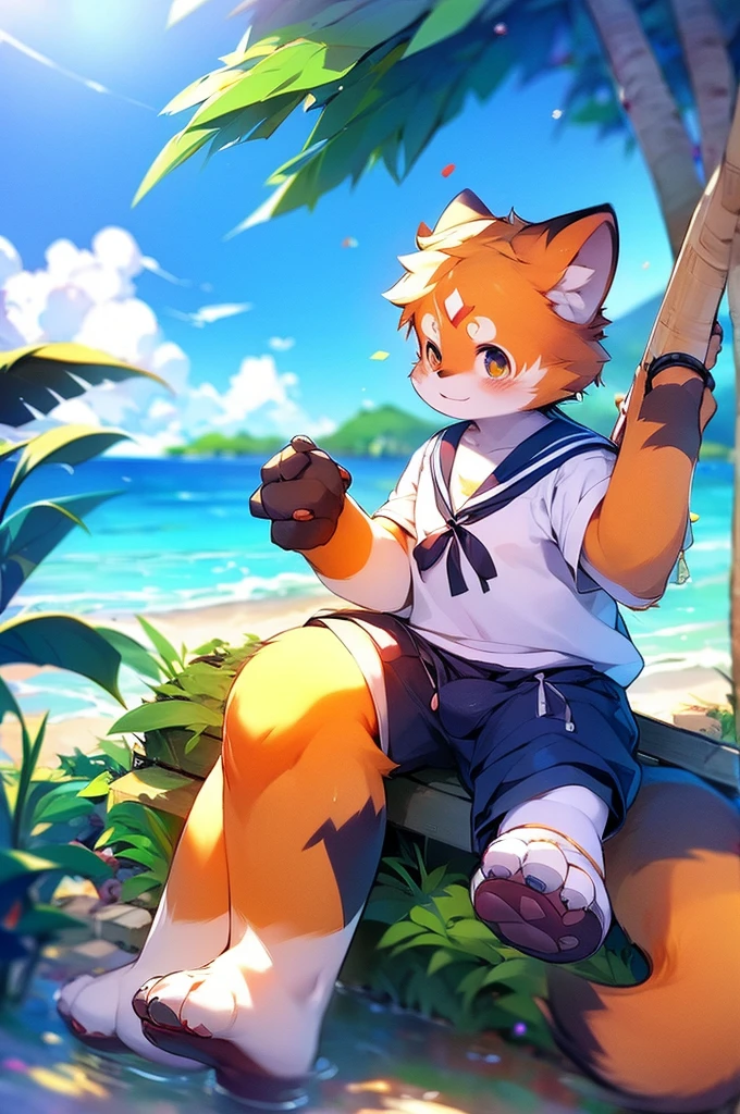 Male Red Panda,Ocean,Appearing in a sailor uniform!One person estrus period,sit,