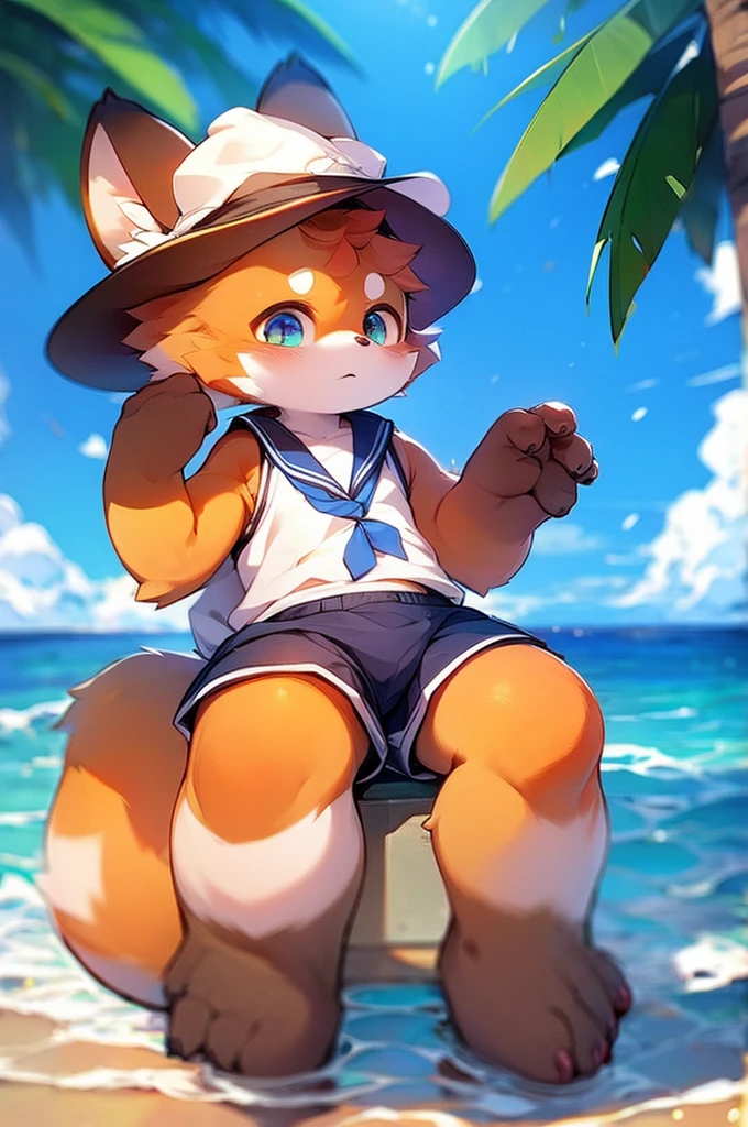 Male Red Panda,Ocean,Appearing in a sailor uniform!One person estrus period,sit,