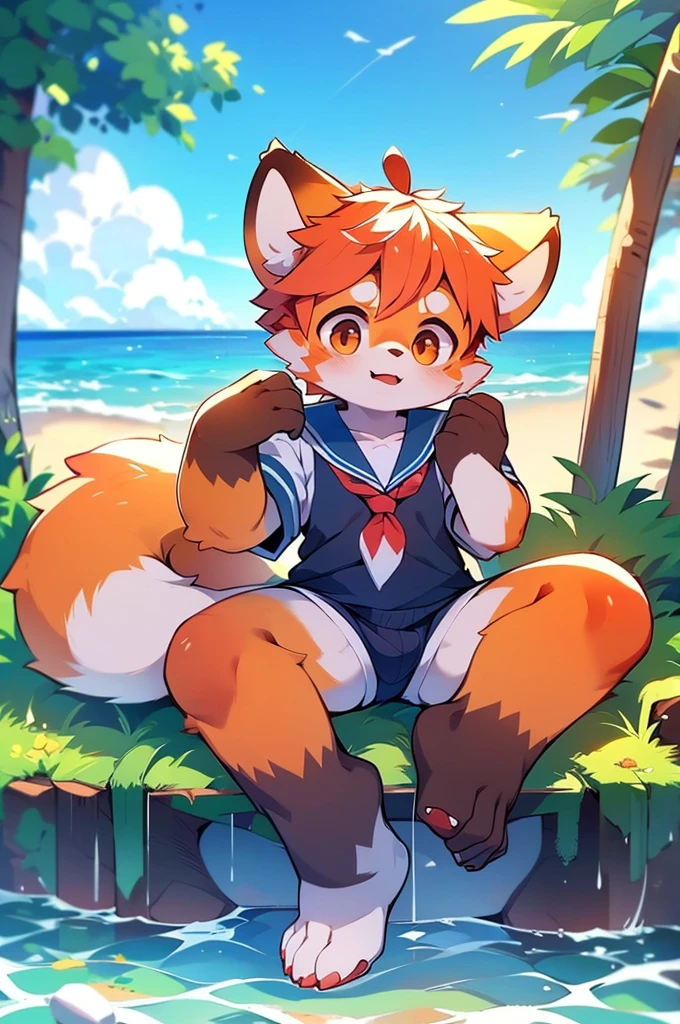 Male Red Panda,Ocean,Appearing in a sailor uniform!One person estrus period,sit,