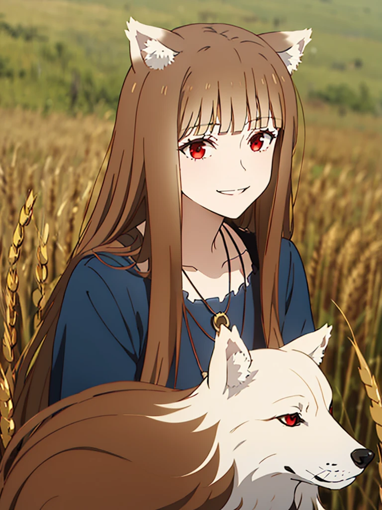 1girl, solo, masterpiece, best quality, illustration, absurdres, cute, film_grain, extremely detailed face, perfect lighting, light smile, full_body, long hair, brown hair, animal ears, red eyes, wolf tail, necklace, outdoors, plains, wheat,