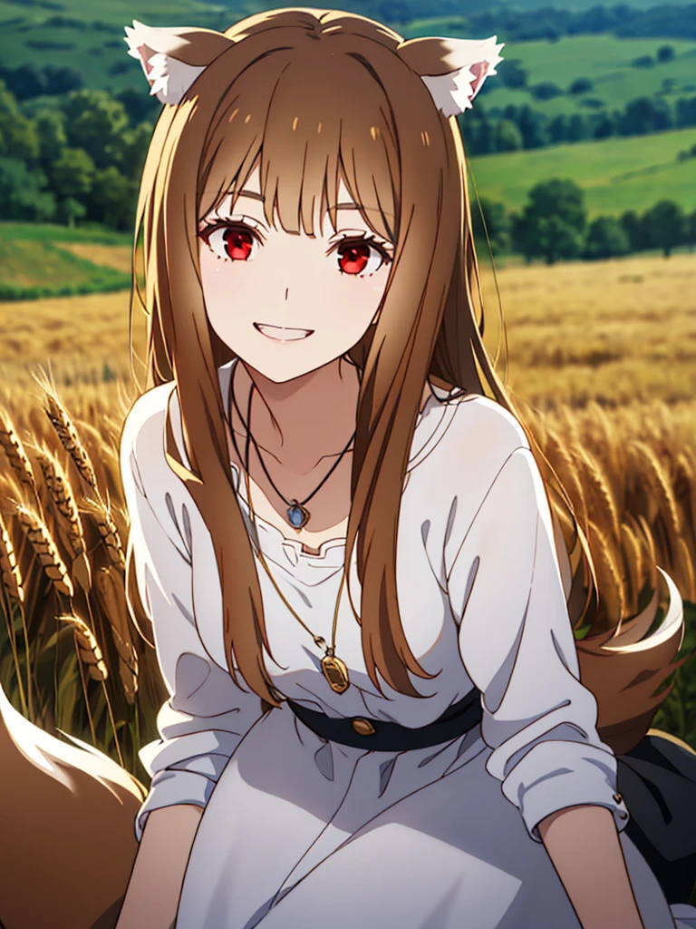 1girl, solo, masterpiece, best quality, illustration, absurdres, cute, film_grain, extremely detailed face, perfect lighting, light smile, full_body, long hair, brown hair, animal ears, red eyes, wolf tail, necklace, outdoors, plains, wheat,