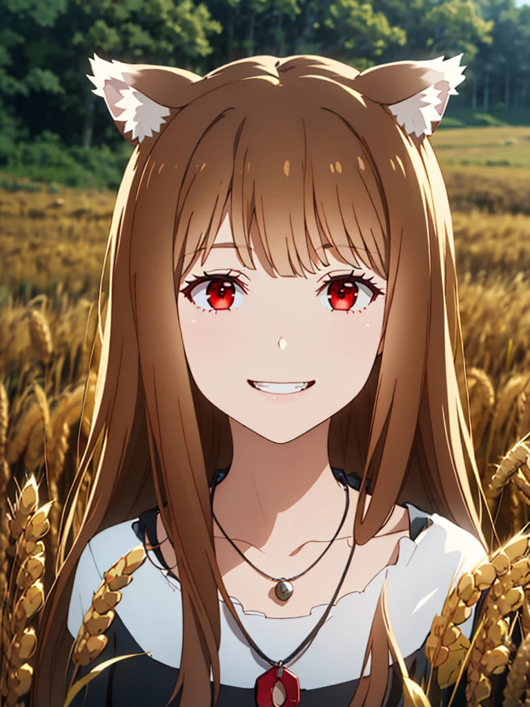 1girl, solo, masterpiece, best quality, illustration, absurdres, cute, film_grain, extremely detailed face, perfect lighting, light smile, full_body, long hair, brown hair, animal ears, red eyes, wolf tail, necklace, outdoors, plains, wheat,