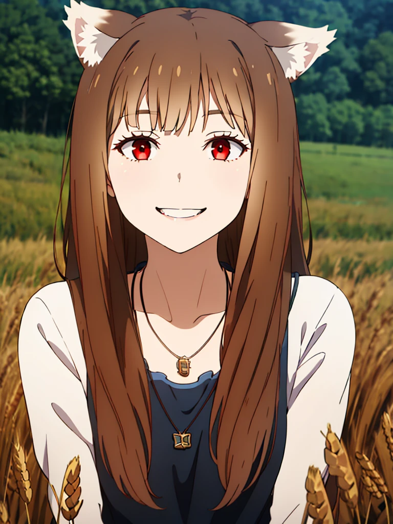 1girl, solo, masterpiece, best quality, illustration, absurdres, cute, film_grain, extremely detailed face, perfect lighting, light smile, full_body, long hair, brown hair, wolf ears, red eyes, wolf tail, necklace, outdoors, plains, wheat,