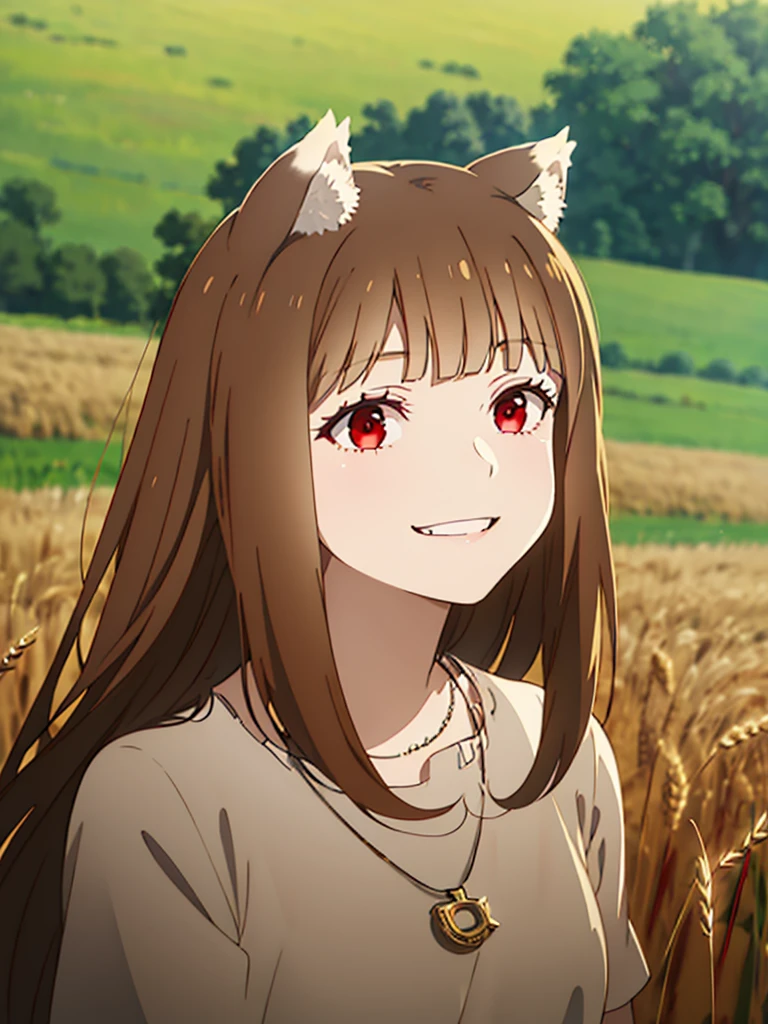 1girl, solo, masterpiece, best quality, illustration, absurdres, cute, film_grain, extremely detailed face, perfect lighting, light smile, full_body, long hair, brown hair, wolf ears, red eyes, wolf tail, necklace, outdoors, plains, wheat,