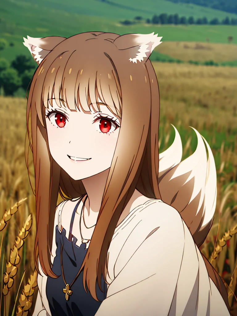 1girl, solo, masterpiece, best quality, illustration, absurdres, cute, film_grain, extremely detailed face, perfect lighting, light smile, full_body, long hair, brown hair, wolf ears, red eyes, wolf tail, necklace, outdoors, plains, wheat,