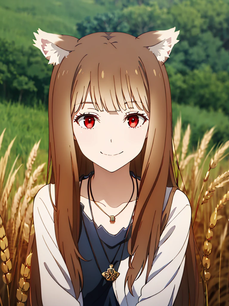1girl, solo, masterpiece, best quality, illustration, absurdres, cute, film_grain, extremely detailed face, perfect lighting, light smile, full_body, long hair, brown hair, wolf ears, red eyes, wolf tail, necklace, outdoors, plains, wheat,