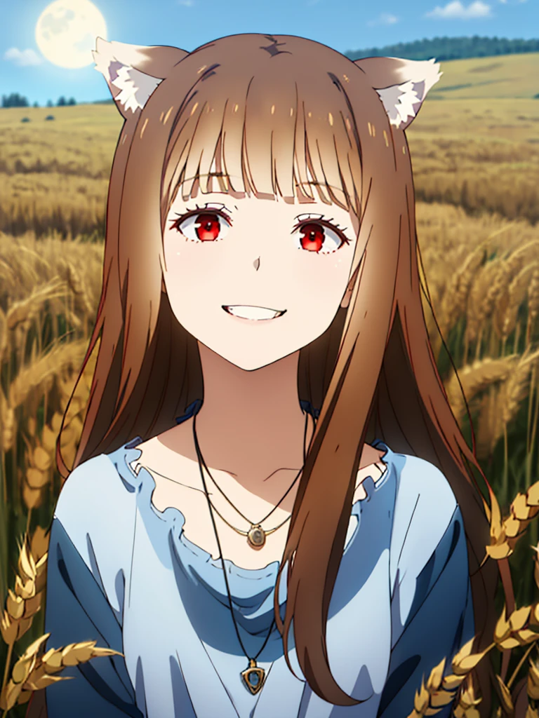 1girl, solo, masterpiece, best quality, illustration, absurdres, cute, film_grain, extremely detailed face, perfect lighting, light smile, full_body, long hair, brown hair, wolf ears, red eyes, wolf tail, necklace, outdoors, plains, wheat, moonlight