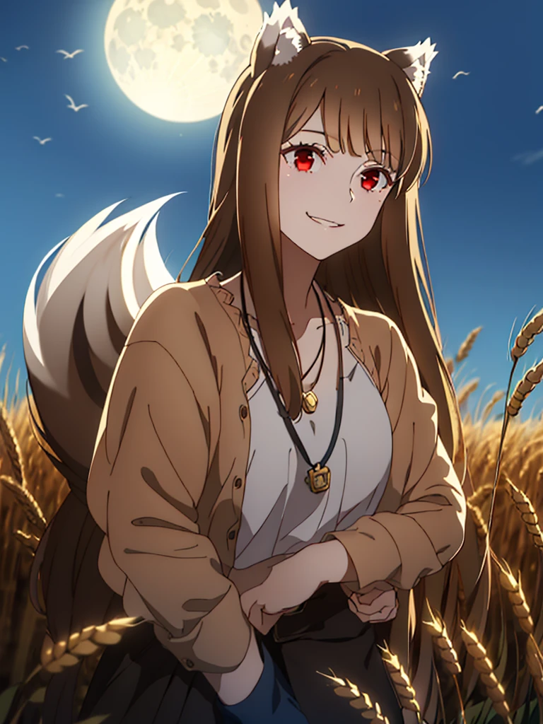 1girl, solo, masterpiece, best quality, illustration, absurdres, cute, film_grain, extremely detailed face, perfect lighting, light smile, full_body, long hair, brown hair, wolf ears, red eyes, wolf tail, necklace, outdoors, plains, wheat, moonlight