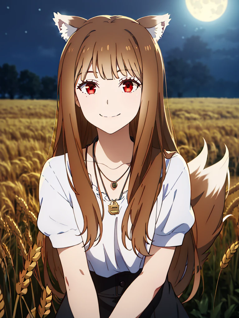 1girl, solo, masterpiece, best quality, illustration, absurdres, cute, film_grain, extremely detailed face, perfect lighting, light smile, full_body, long hair, brown hair, wolf ears, red eyes, wolf tail, necklace, outdoors, plains, wheat, moonlight
