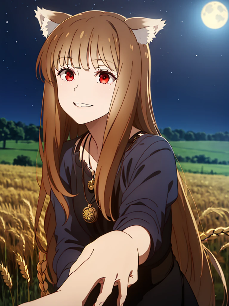 1girl, solo, masterpiece, best quality, illustration, absurdres, cute, film_grain, extremely detailed face, perfect lighting, light smile, full_body, long hair, brown hair, wolf ears, red eyes, wolf tail, necklace, outdoors, plains, wheat, starry night, moonlight
