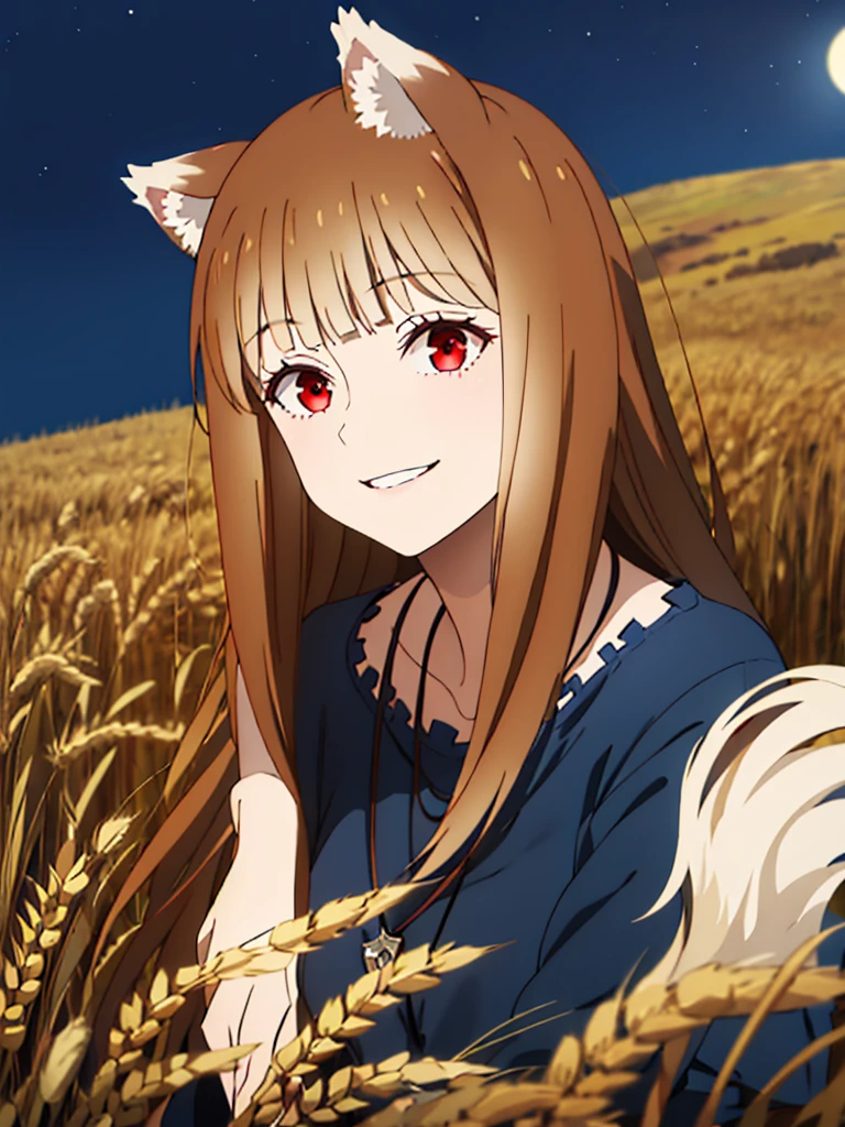 1girl, solo, masterpiece, best quality, illustration, absurdres, cute, film_grain, extremely detailed face, perfect lighting, light smile, full_body, long hair, brown hair, wolf ears, red eyes, wolf tail, necklace, outdoors, plains, wheat, starry night, moonlight