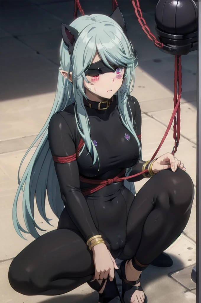 dark blue hair,,long hair,purple eyes,pointy ears,elf,tall,black tight body suit,bondage,tied up,bound,tied wrist,tied legs,blindfold,blush,wet,sweat,rope.collar,leash