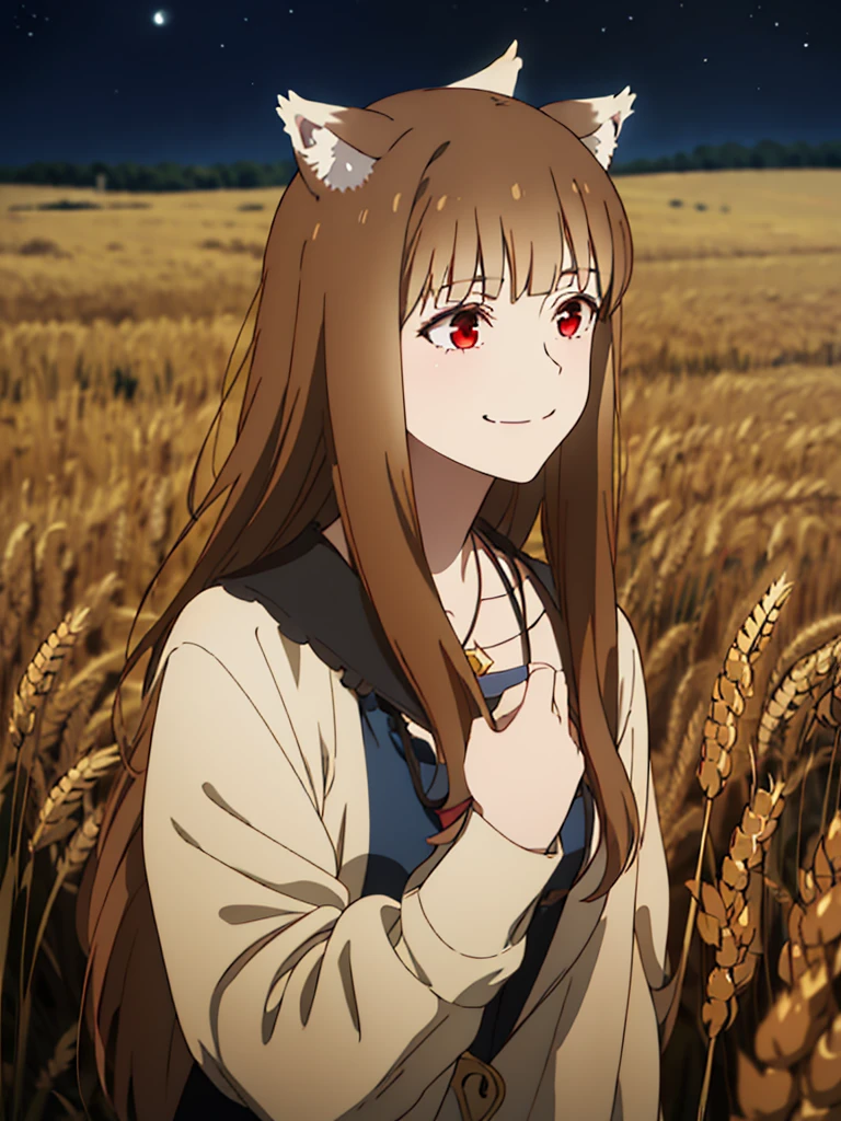 1girl, solo, masterpiece, best quality, illustration, absurdres, cute, film_grain, extremely detailed face, perfect lighting, light smile, full_body, long hair, brown hair, wolf ears, red eyes, wolf tail, necklace, outdoors, plains, wheat, starry night, moonlight, makoto shinkai style