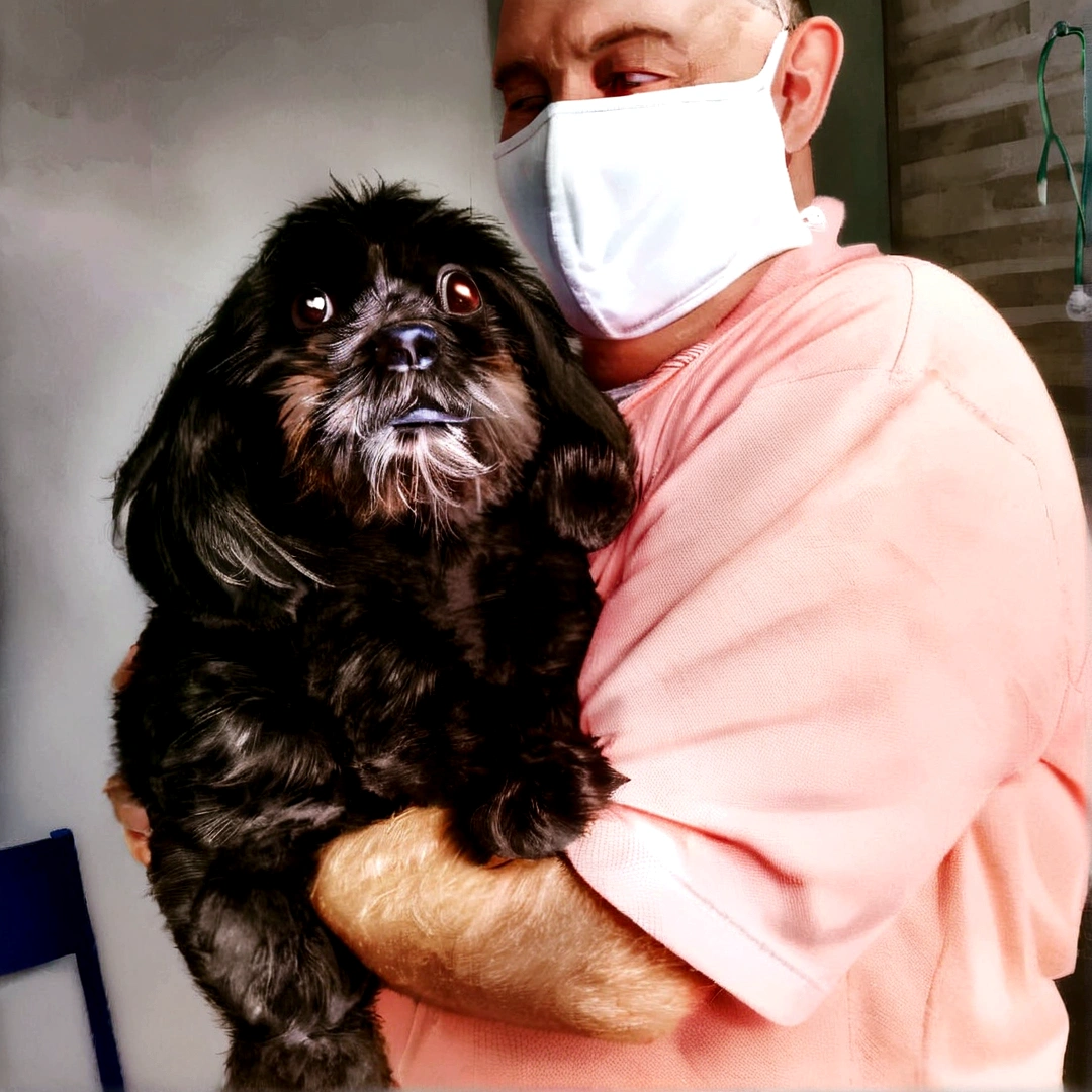 A little dog with black fur, floppy ears on the lap of a man with a mask, disney pixar style, high qualiy, best qualityer.