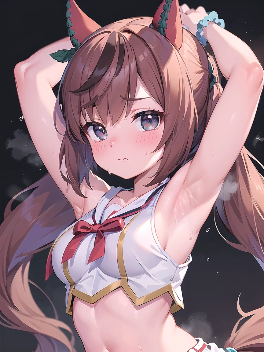 ((masterpiece, best quality)), high resolution,ultra detailed,8k,16k,detailed background, perfect lighting,detailed beautiful eyes, 1girl,solo,embarrassed,blush,in heat,look at viewer,face focus,(steam,sweat,from front,upper body:1.2),provocative eyes,wavy mouth,fisheye lens,(show off armpits,arms up:1.3)
,kawaii,teenage,short stature,short body,medium breast,nicenature,
nicenaturecheerleader,brown hair,gray eyes,twintail,in house
