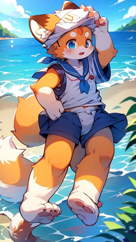 Red Panda Uncle,Ocean,Sailor suit